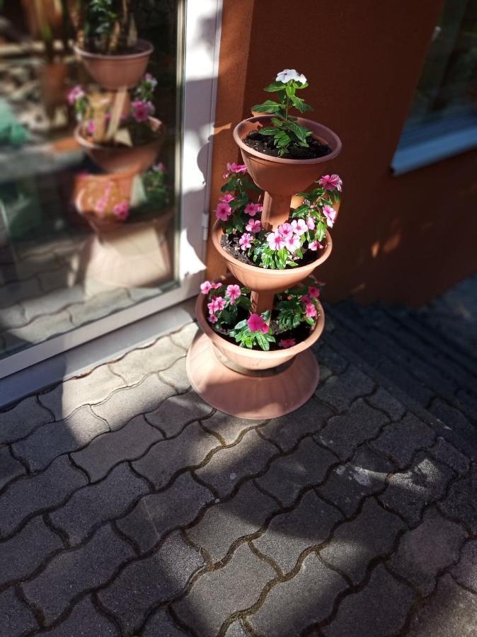 Pergola Panzio Hotel Balatonfoldvar Bagian luar foto